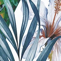 TROPICAL VIVA POSTER B