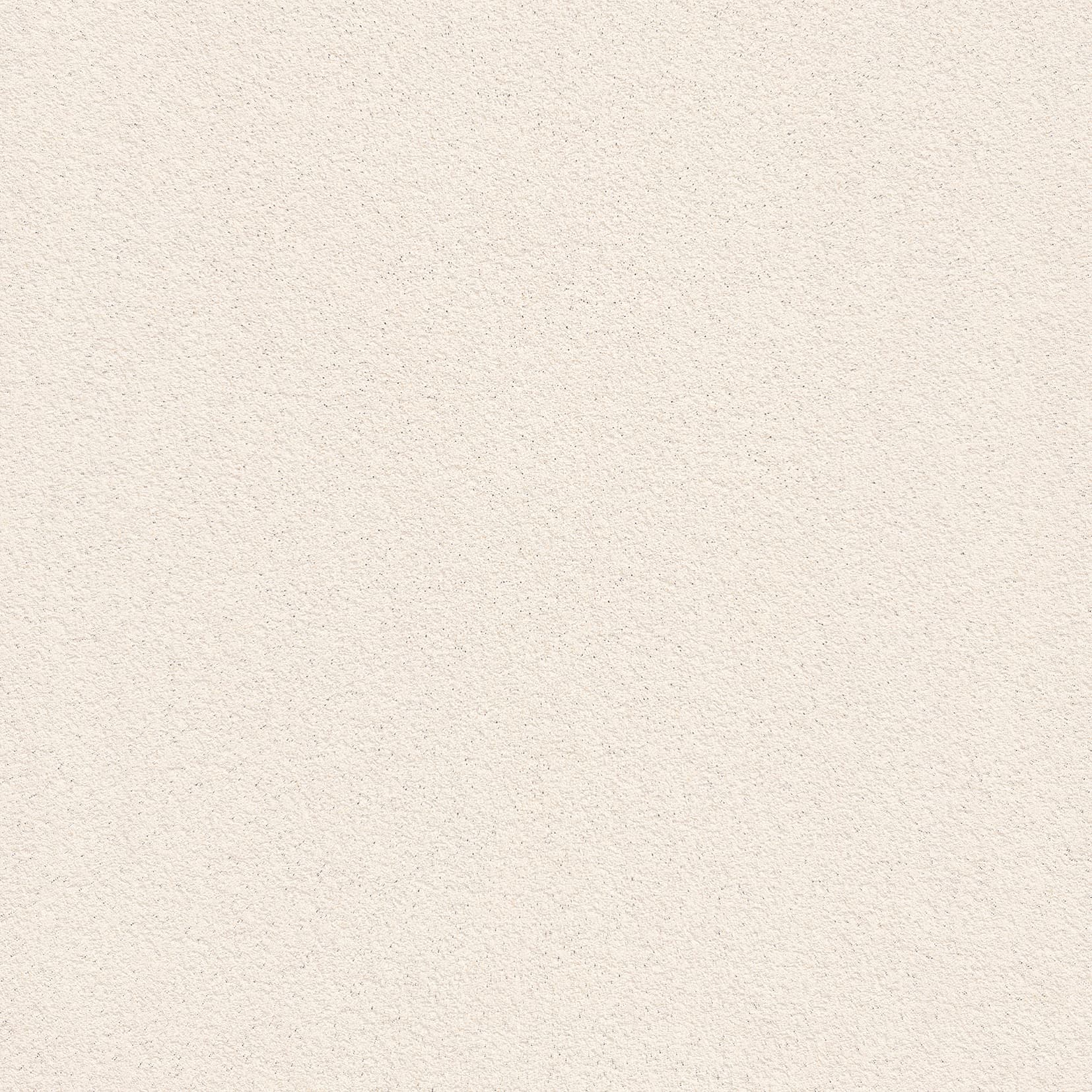 ALCHIMIA SHELL RAW TEXTURE