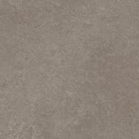 SPECTRA MUSHROOM Tiles